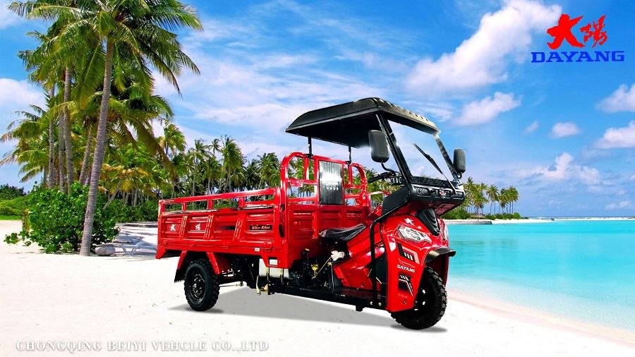 Hot selling 250cc motorized tanzania adult tricycles