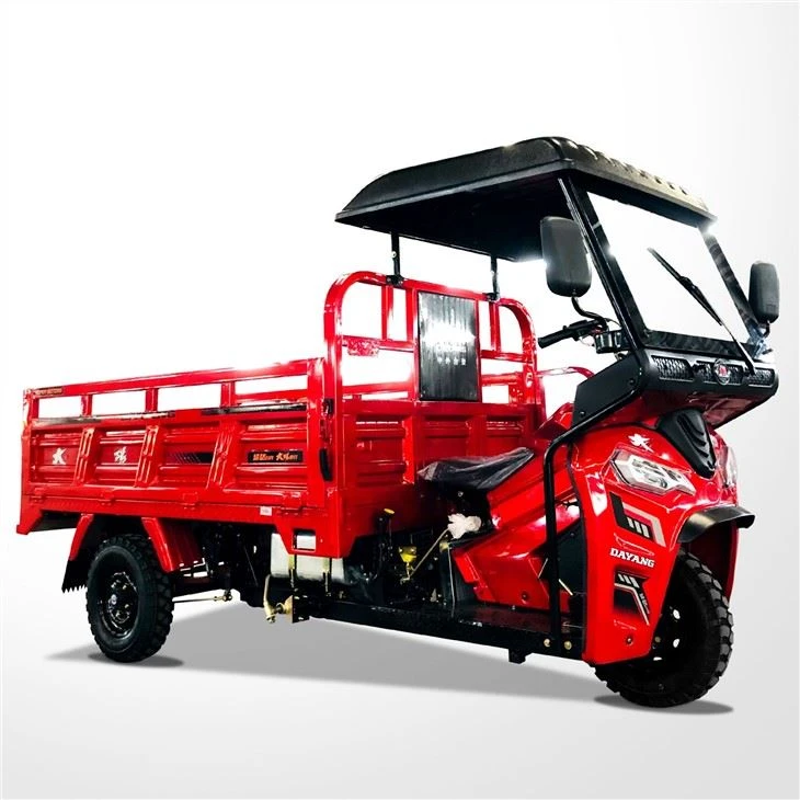 250cc Motorized Tanzania Adult Tricycles