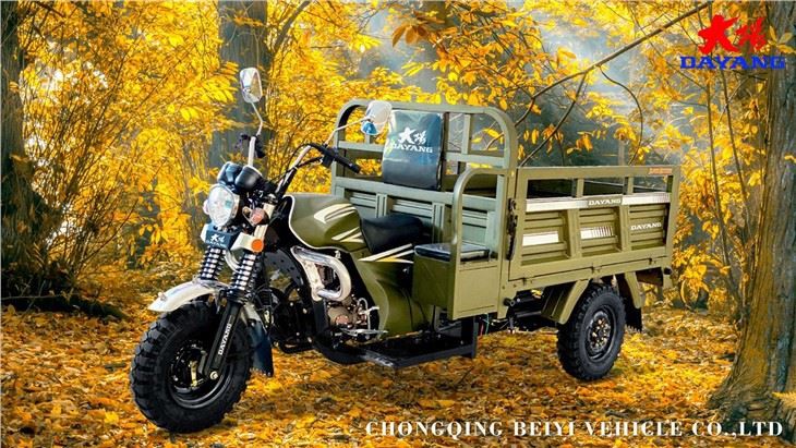 Gasoline Petrol Passenger Motor Tricycle
