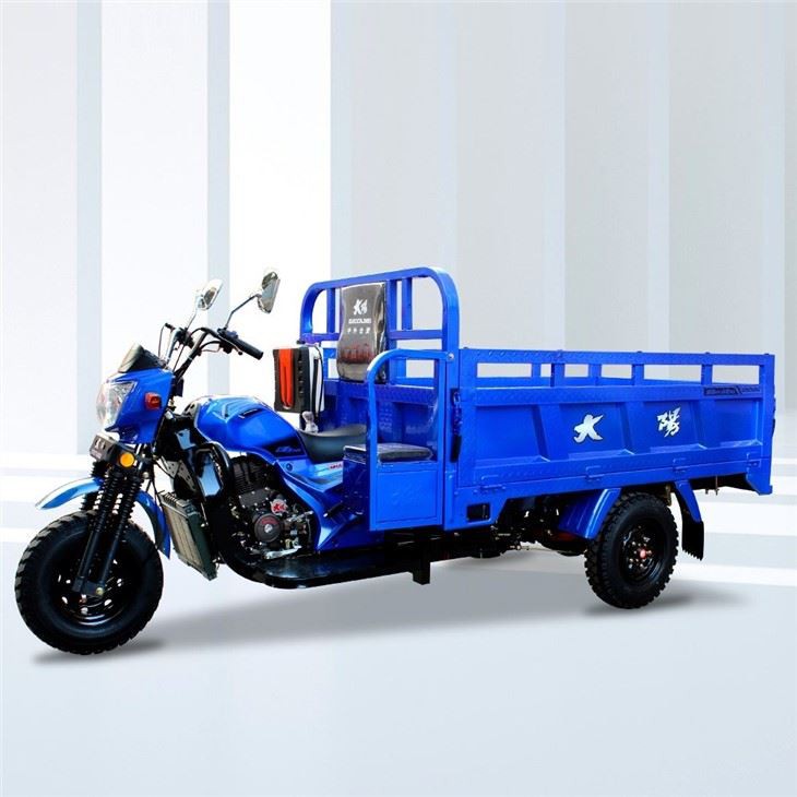 fast Motorized Cargo Tricycle for Loading Heavy Goods