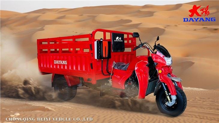 Multi Functional 250CC Cargo Tricycle Big