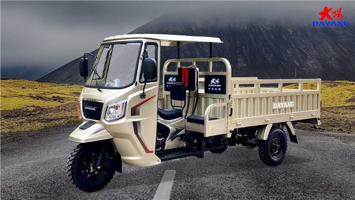 Three Wheel Gasoline Motor Tricycle 250cc