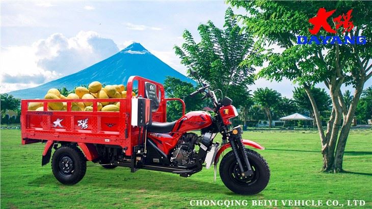 Tri Wheel Motorized Cargo Tricycle factory