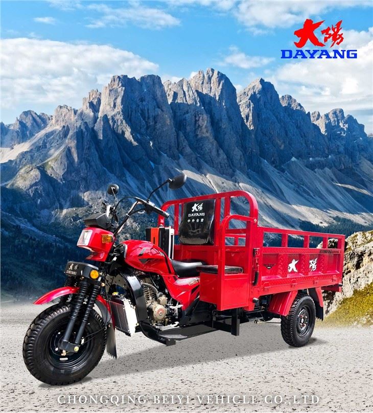 Tri Wheel Motorized Cargo Tricycle custom