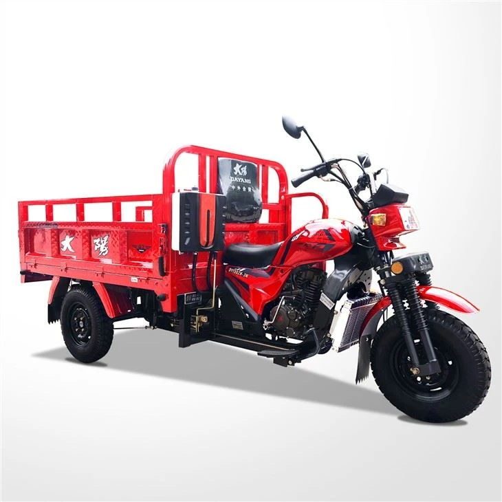 Tri Wheel Motorized Cargo Tricycle motorcycle