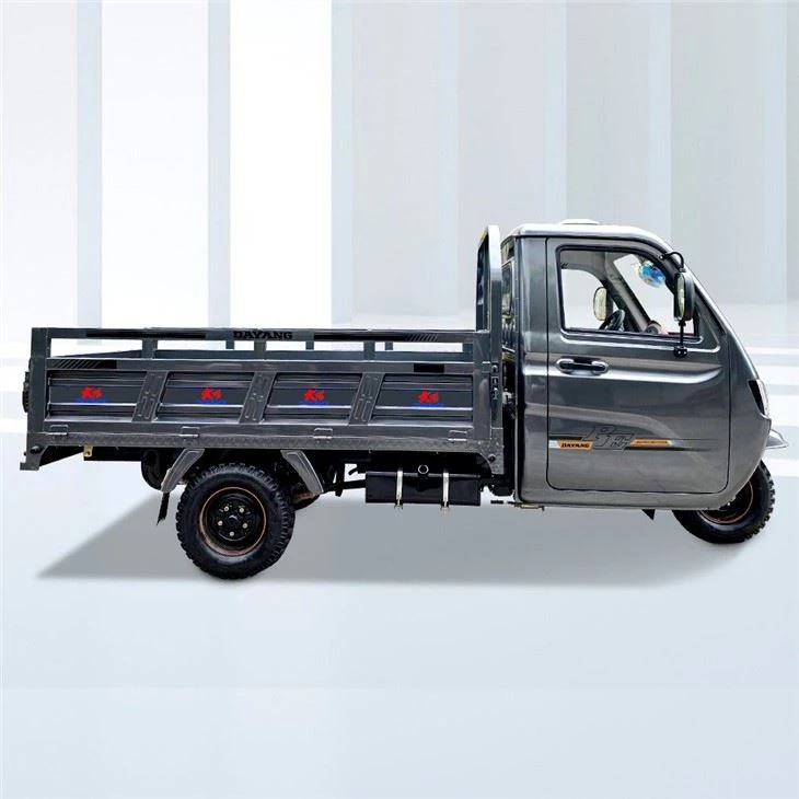 Enclosed Three Wheeler Furgon Motocar