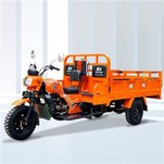 Cargo Motorizado tricikel