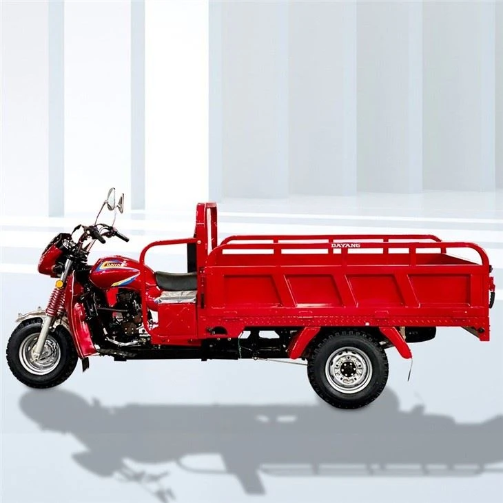 300cc Three Wheeler Cargo Motocar
