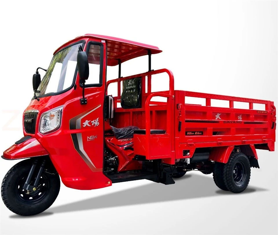 250cc Water-Cooled Engine/Cargo Tricycle/High Quality Three-Wheel Motorcycle